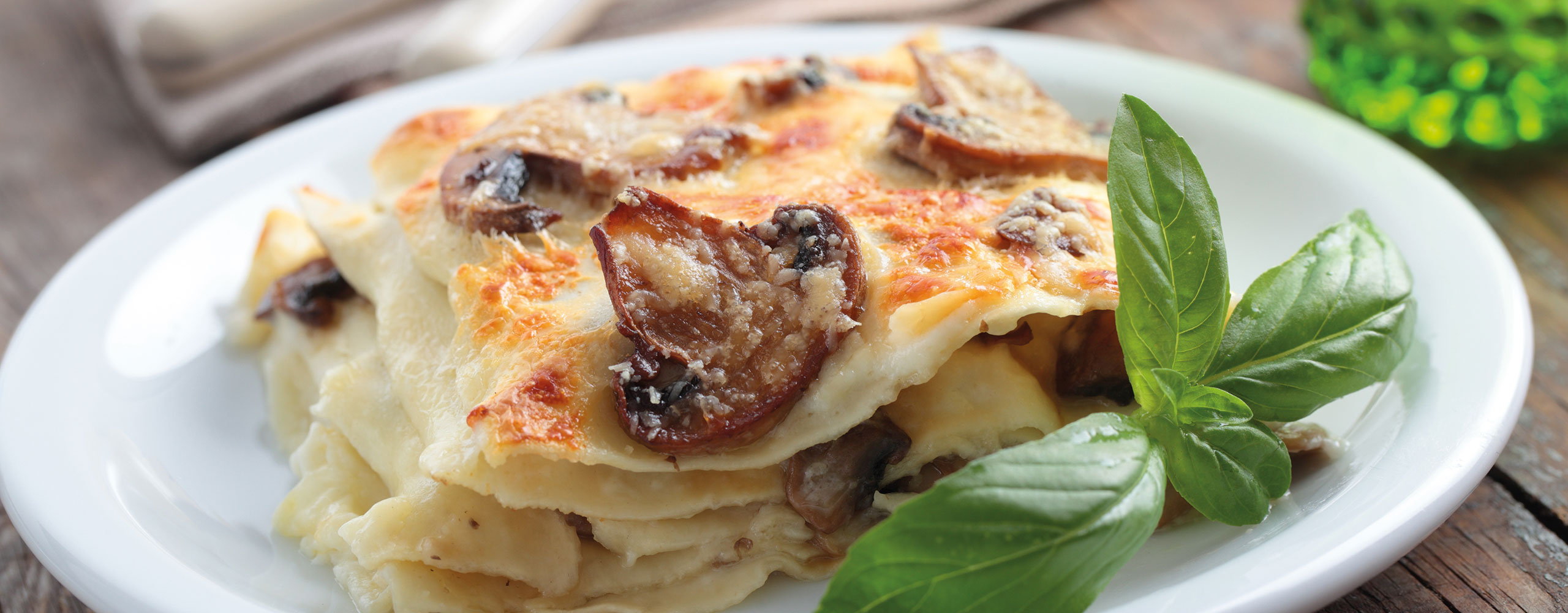 lasagne al ragù di coniglio e funghi